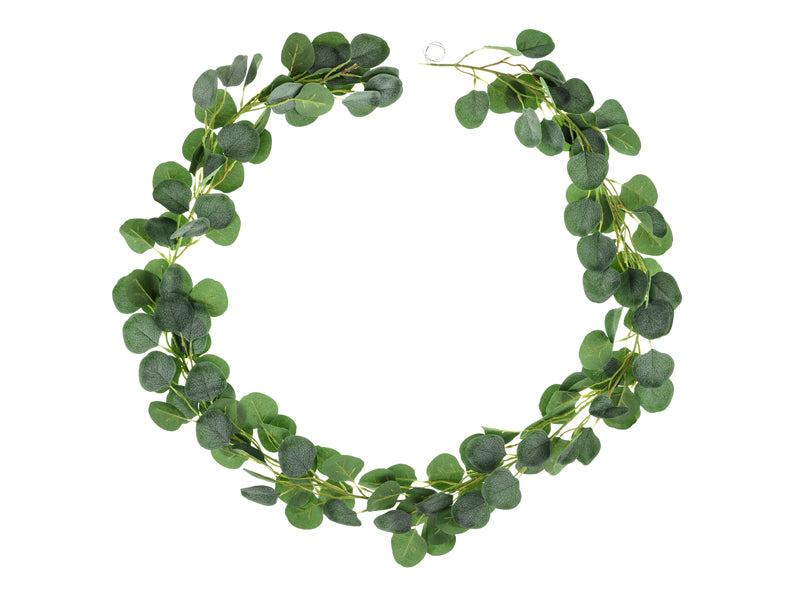 Eucalyptus guirlande