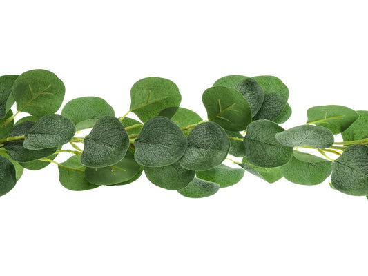 Eucalyptus guirlande