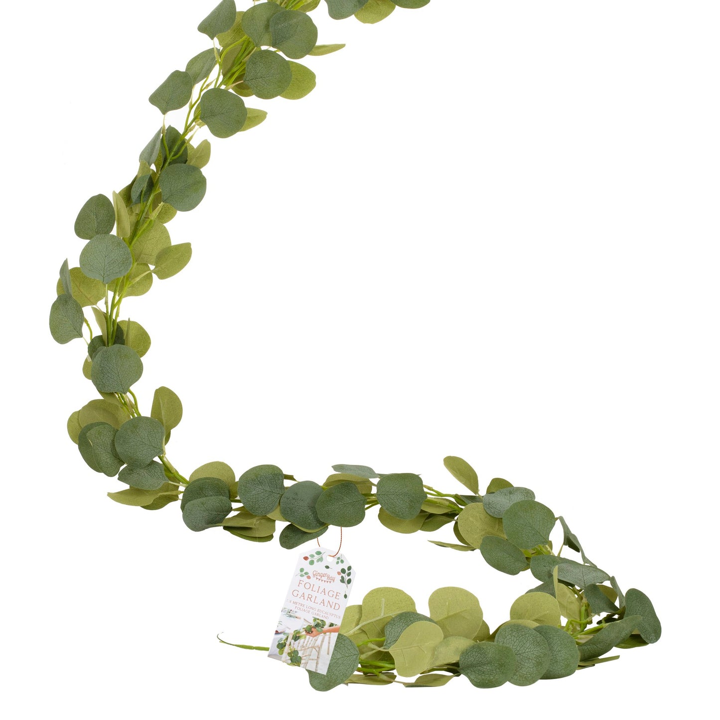 Eucalyptus guirlande