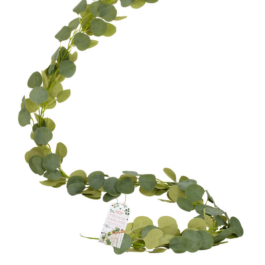 Eucalyptus guirlande
