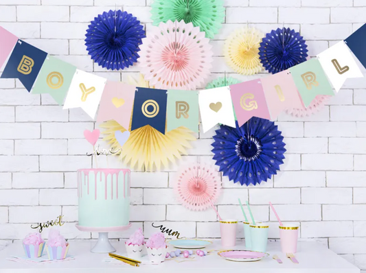 Boy or Girl Banner